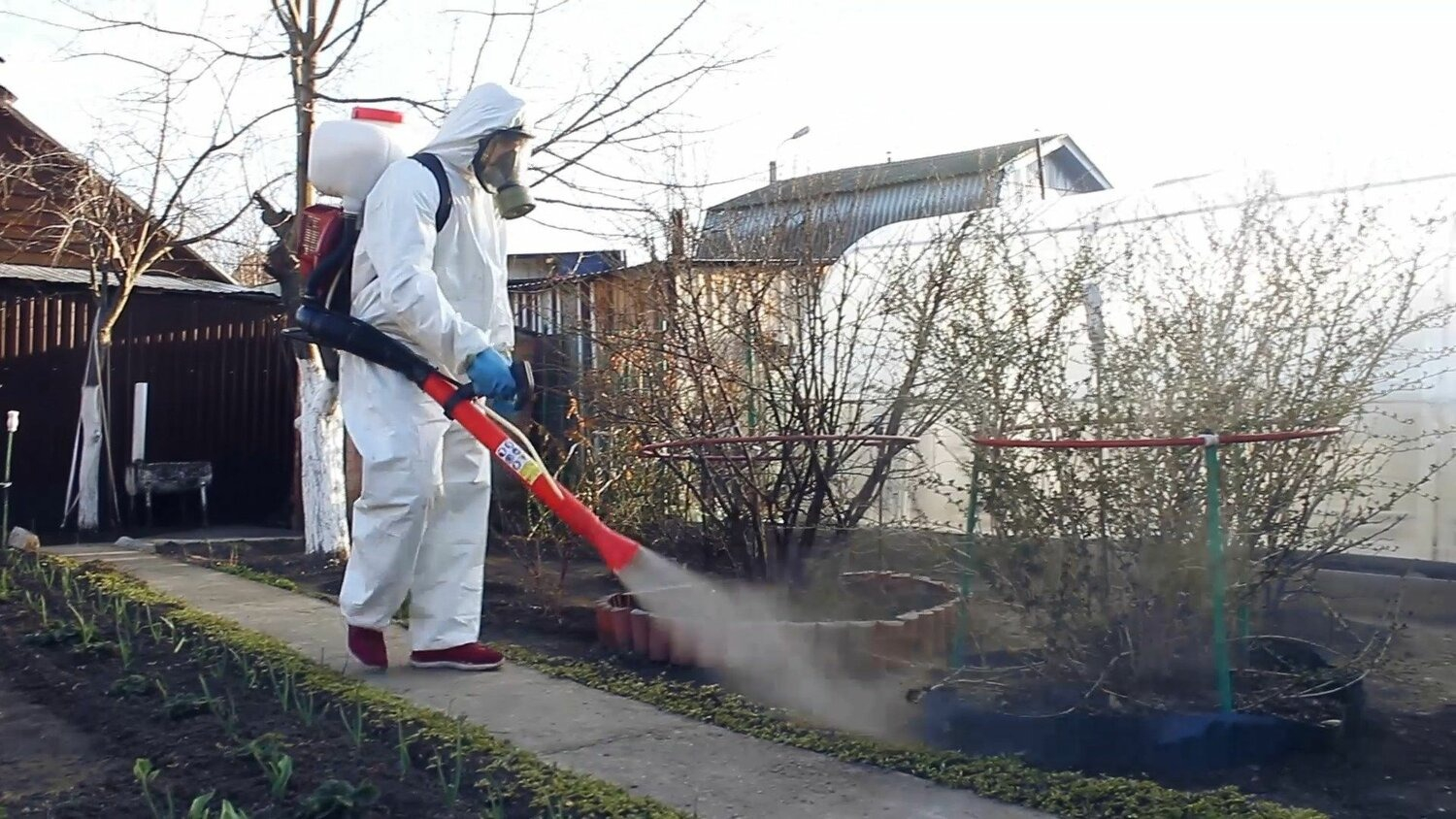 ФОТО Уничтожение муравьёв в рабочем поселке Московской области Ильинский