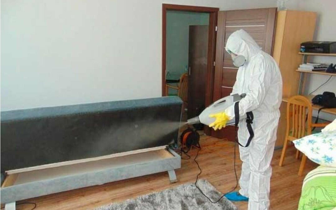 ФОТО Уничтожение блох в рабочем поселке Московской области Ильинский