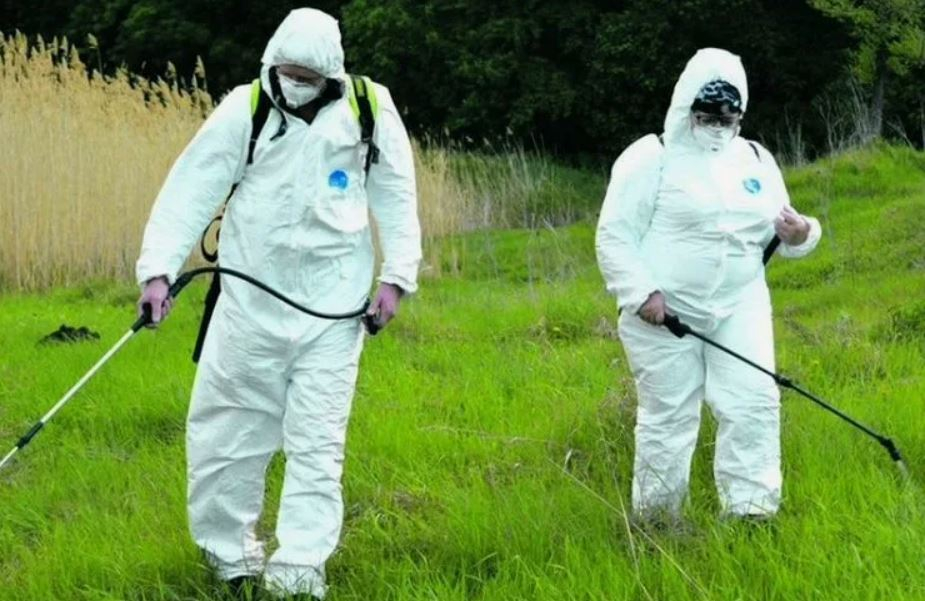 ФОТО Обработка от клещей в рабочем поселке Московской области Ильинский