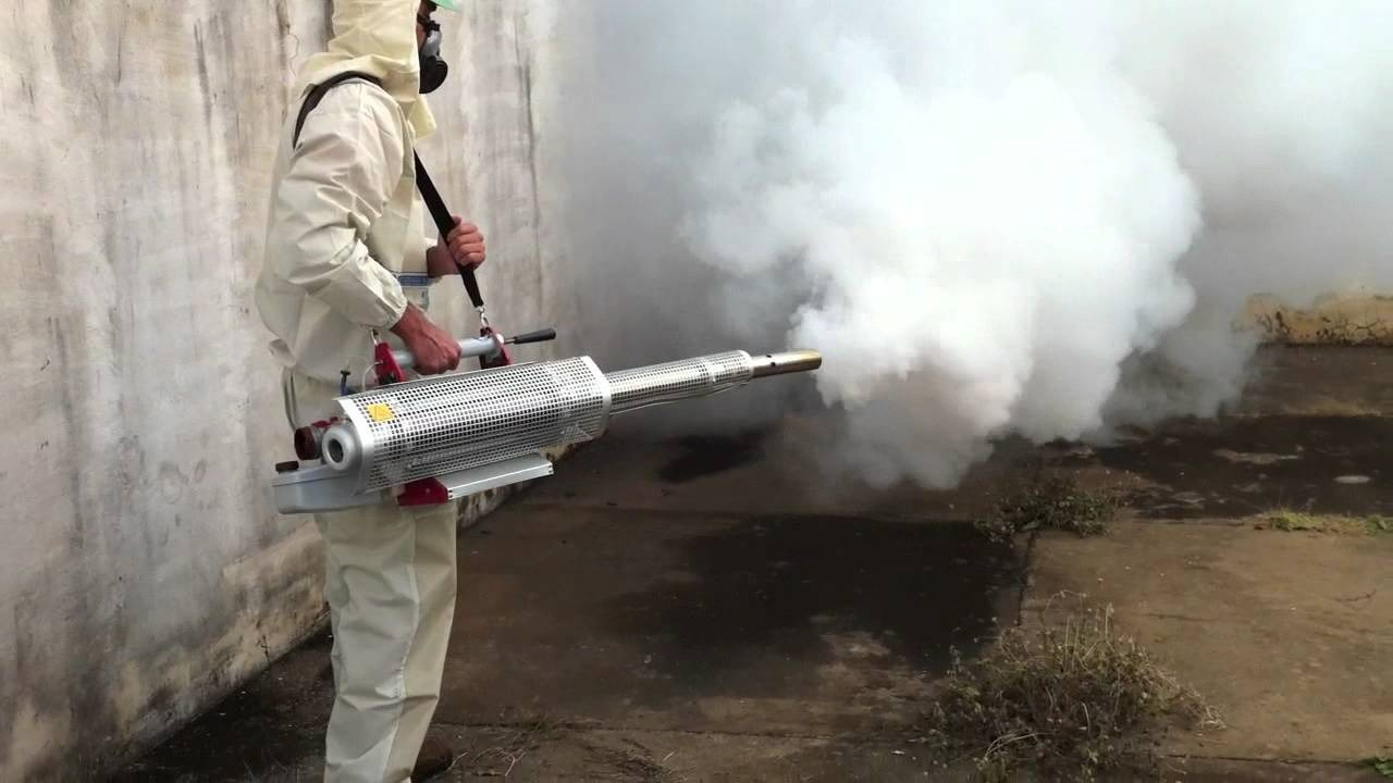 ФОТО Уничтожение мух в рабочем поселке Московской области Ильинский