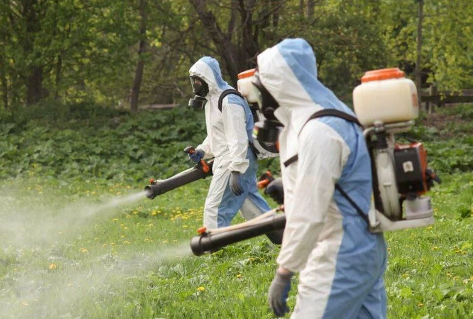 ФОТО Что такое дезинсекция в рабочем поселке Московской области Ильинский? | подробно