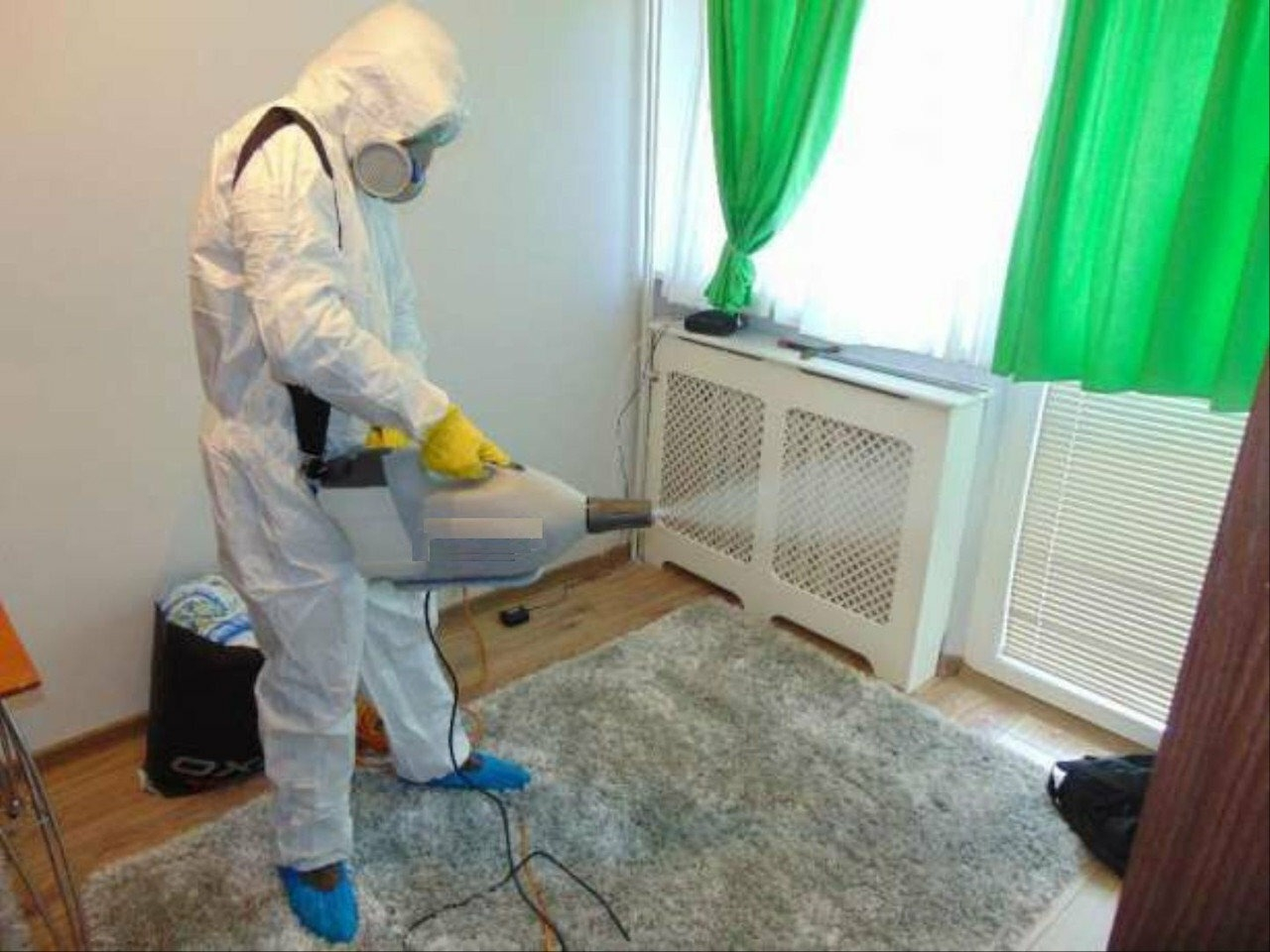 ФОТО Сколько времени занимает обработка при дезинсекции в рабочем поселке Московской области Ильинский? | подробно