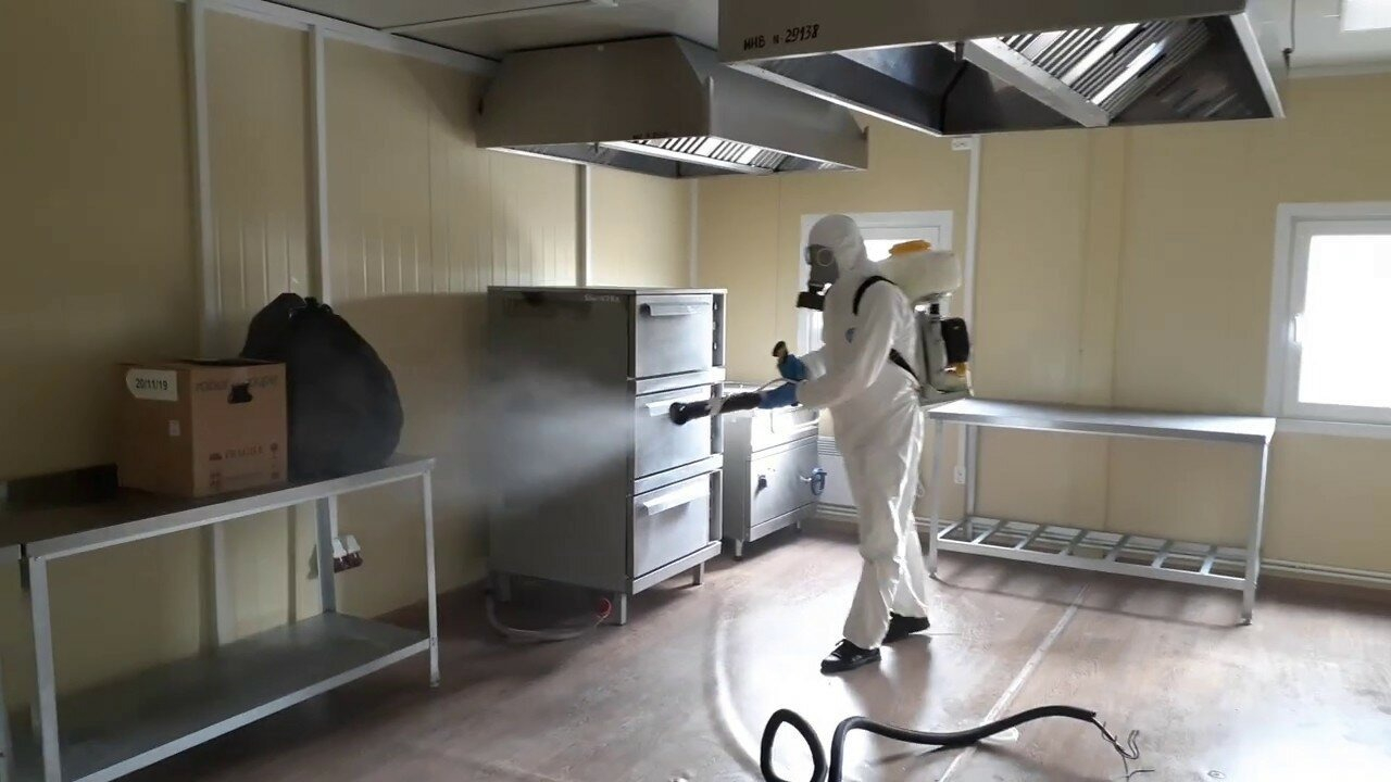 ФОТО Можно ли провести дезинсекцию самостоятельно и какие существуют риски в рабочем поселке Московской области Ильинский? | подробно