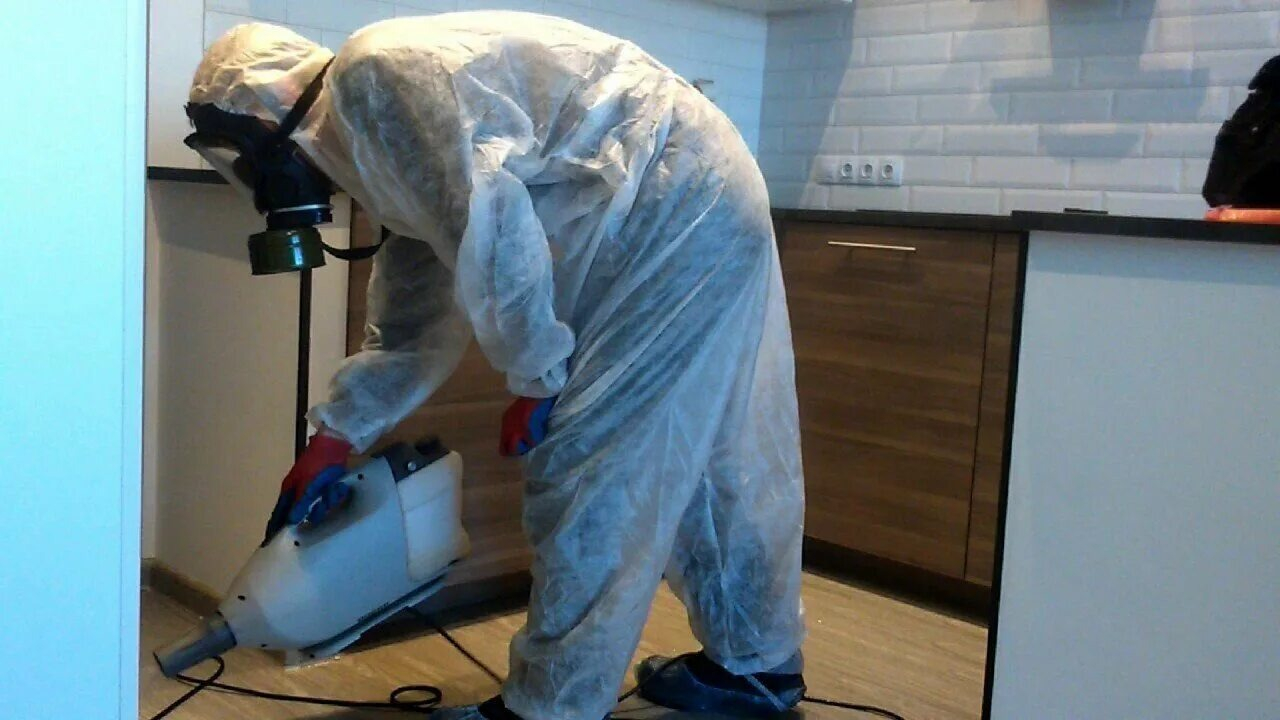 ФОТО Как подготовить домашних животных к обработке от насекомых в рабочем поселке Московской области Ильинский? | подробно