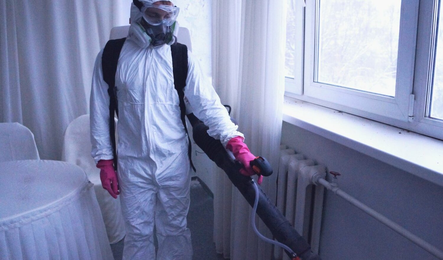 ФОТО Нужно ли выносить растения при дезинсекции в рабочем поселке Московской области Ильинский? | подробно