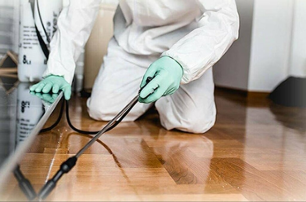 ФОТО Как подготовить вентиляцию при предстоящей дезинсекции в рабочем поселке Московской области Ильинский?