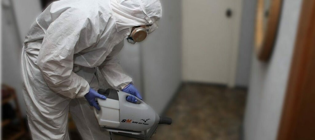 ФОТО Остаются ли следы после обработки квартиры от насекомых в рабочем поселке Московской области Ильинский? | подробно