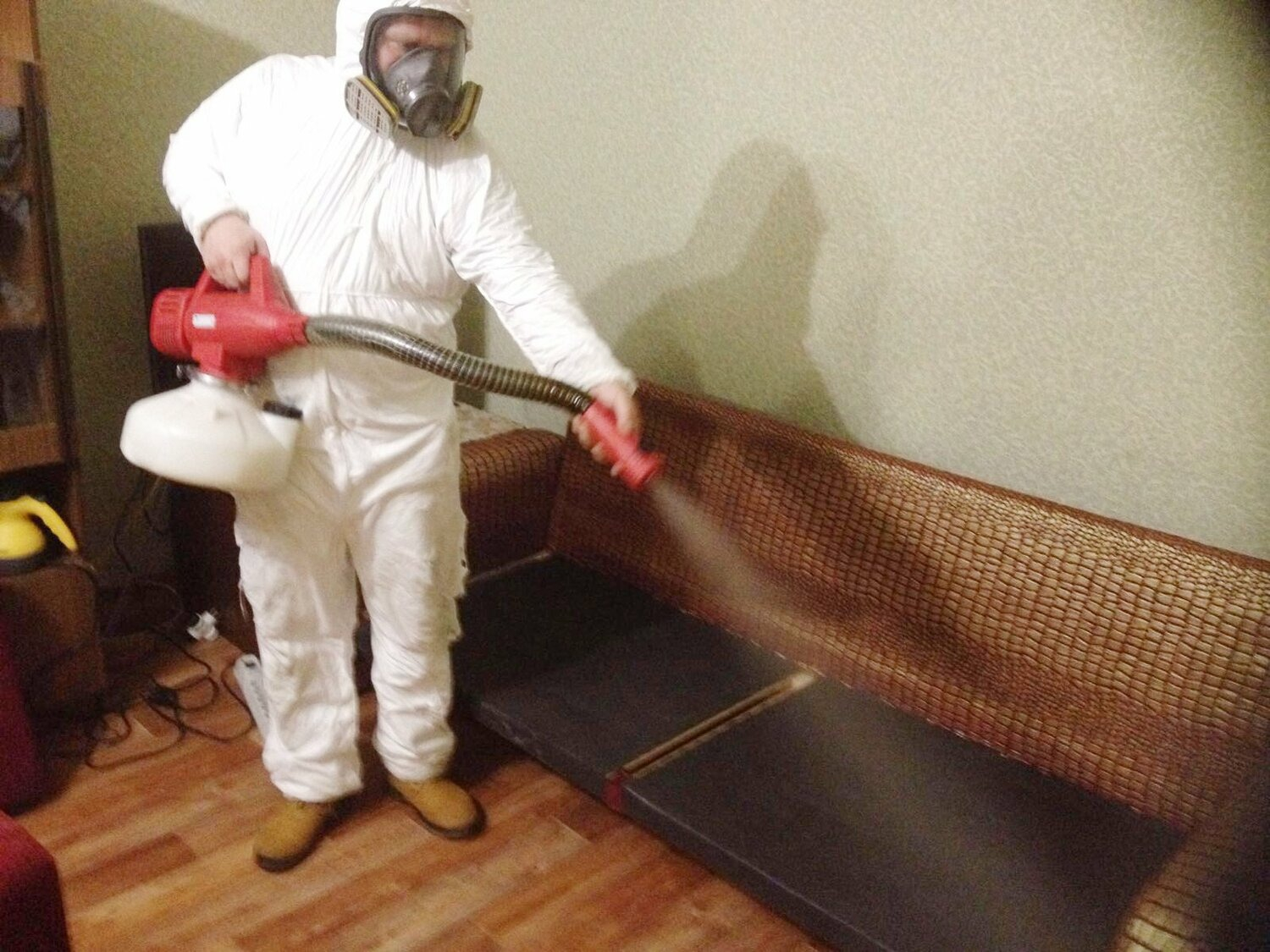 ФОТО Когда можно вернуться в помещение после дезинсекции в рабочем поселке Московской области Ильинский? | подробно