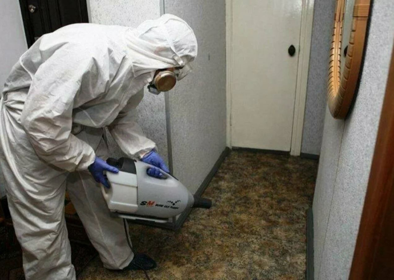 фото: Профессиональная дезинсекция в рабочем поселке Московской области Ильинский: <br/>+7-909-173-42-96